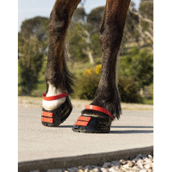 Correas Scoot Boots Correas Scoot Boots