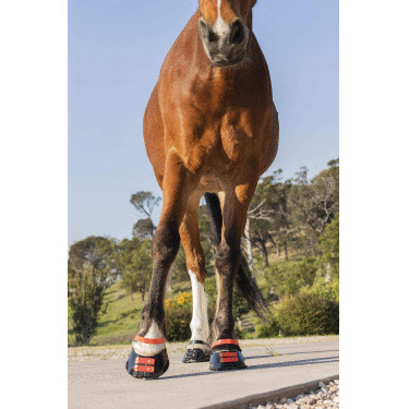Correas Scoot Boots Correas Scoot Boots