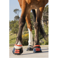 Correas Scoot Boots Correas Scoot Boots
