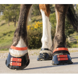 Correas Scoot Boots Correas Scoot Boots