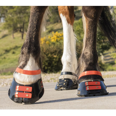 Correas Scoot Boots Correas Scoot Boots