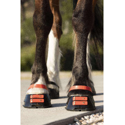 Correas Scoot Boots Correas Scoot Boots