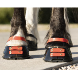 Correas Scoot Boots Correas Scoot Boots