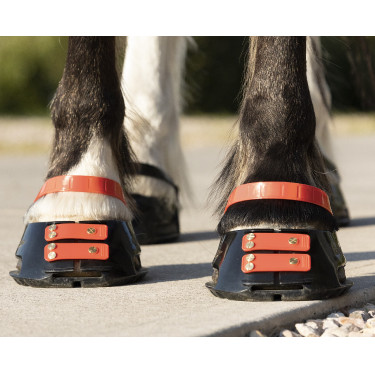 Correas Scoot Boots Correas Scoot Boots