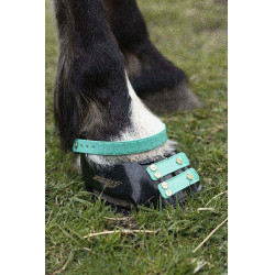 Correas Scoot Boots Correas Scoot Boots