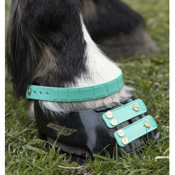 Correas Scoot Boots Correas Scoot Boots