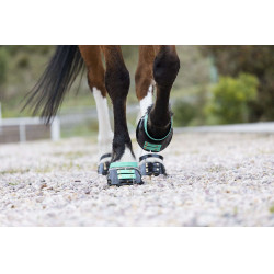 Correas Scoot Boots Correas Scoot Boots