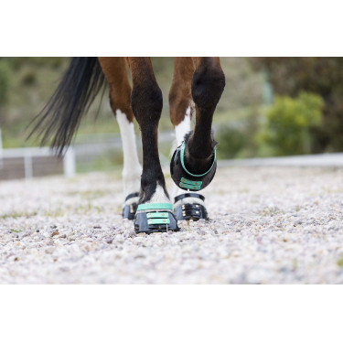 Correas Scoot Boots Correas Scoot Boots