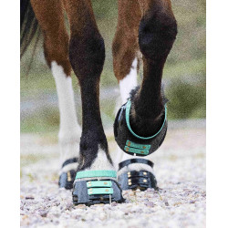 Correas Scoot Boots Correas Scoot Boots