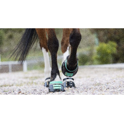 Correas Scoot Boots Correas Scoot Boots