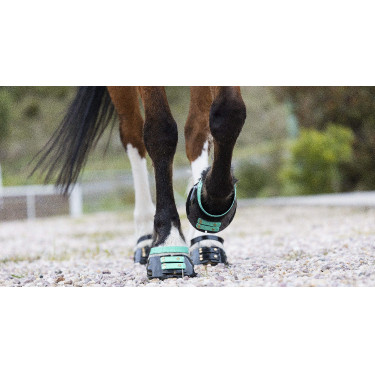 Correas Scoot Boots Correas Scoot Boots