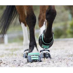 Correas Scoot Boots Correas Scoot Boots