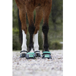 Correas Scoot Boots Correas Scoot Boots