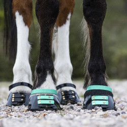 Correas Scoot Boots Correas Scoot Boots