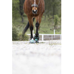 Correas Scoot Boots Correas Scoot Boots