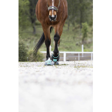 Correas Scoot Boots Correas Scoot Boots