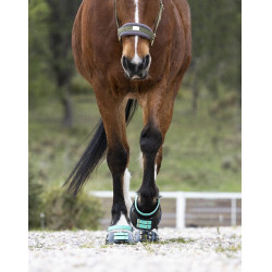 Correas Scoot Boots Correas Scoot Boots