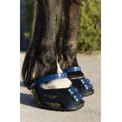 Correas Scoot Boots Correas Scoot Boots