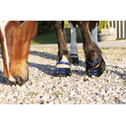 Correas Scoot Boots Correas Scoot Boots