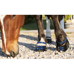 Correas Scoot Boots Correas Scoot Boots