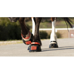 Strap Scoot Boots Hibisco Rojo Strap Scoot Boots Hibisco Rojo