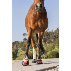 Strap Scoot Boots Hibisco Rojo Strap Scoot Boots Hibisco Rojo