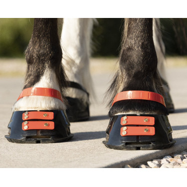 Strap Scoot Boots Hibisco Rojo Strap Scoot Boots Hibisco Rojo