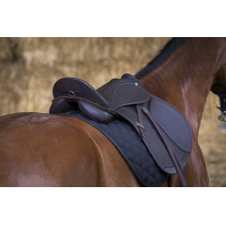 Silla mixta Norton Club Rexine Evol