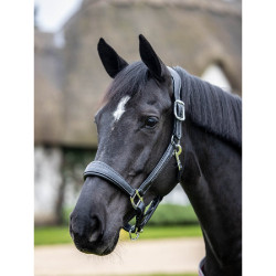 Collar con puntadas de cuero de LeMieux Negro