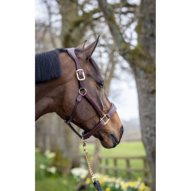 Collar con puntadas de cuero de LeMieux Castaño Marrón