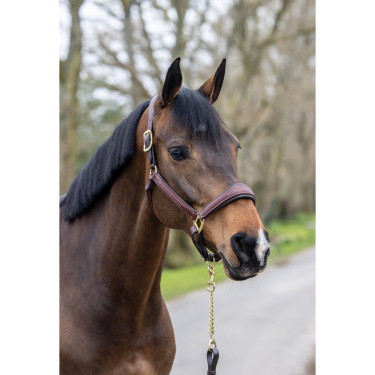 Collar con puntadas de cuero de LeMieux Castaño Marrón