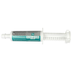 Alimentación complementaria LPC Muscle Eze Flash
