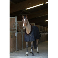 Equithème Teddy Negro / marrón Equithème Teddy Negro / marrón