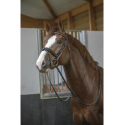 Cabezada Pénélope Daily Negro