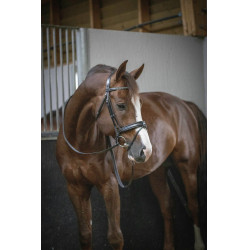 Cabezada Pénélope Daily Negro