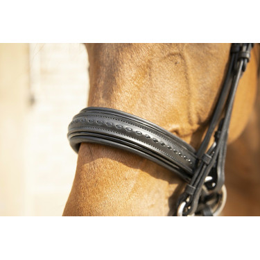 Brida Pénélope Point Sellier Negro