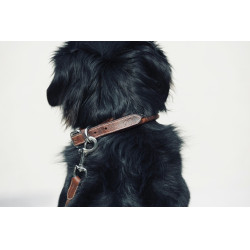 Collar para perro Pénélope Point Sellier