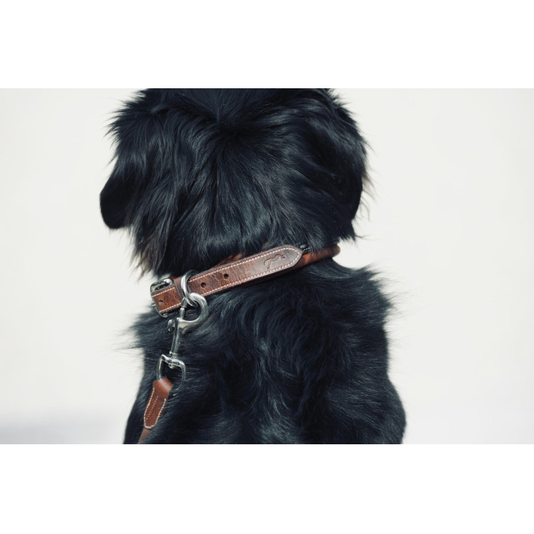 Collar para perro Pénélope Point Sellier