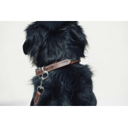 Collar para perro Pénélope Point Sellier Collar para perro Pénélope Point Sellier