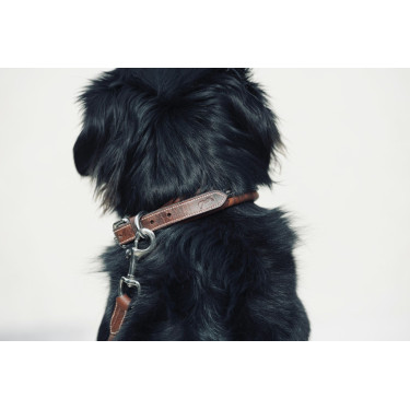 Collar para perro Pénélope Point Sellier Collar para perro Pénélope Point Sellier