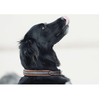 Collar para perro Pénélope Point Sellier Collar para perro Pénélope Point Sellier