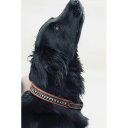 Collar para perro Pénélope Point Sellier Collar para perro Pénélope Point Sellier