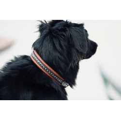 Collar para perro Pénélope Point Sellier Collar para perro Pénélope Point Sellier