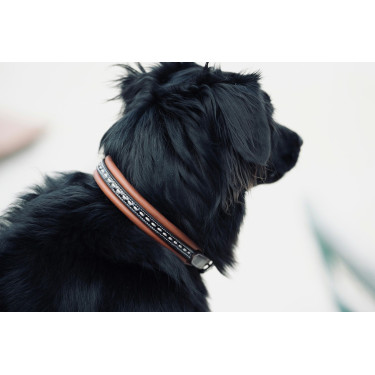 Collar para perro Pénélope Point Sellier Collar para perro Pénélope Point Sellier