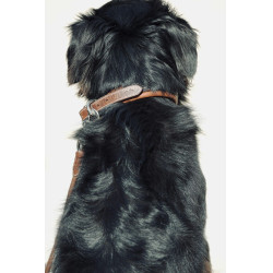 Collar para perro Pénélope Point Sellier Collar para perro Pénélope Point Sellier