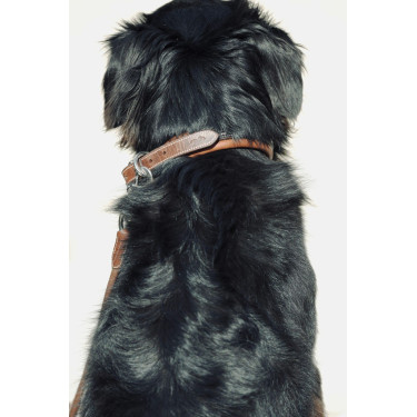 Collar para perro Pénélope Point Sellier Collar para perro Pénélope Point Sellier