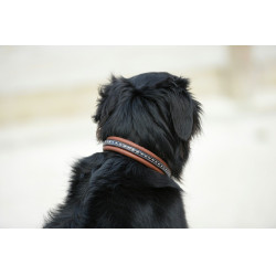 Collar para perro Pénélope Point Sellier Collar para perro Pénélope Point Sellier
