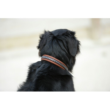 Collar para perro Pénélope Point Sellier Collar para perro Pénélope Point Sellier