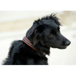 Collar para perro Pénélope Point Sellier Collar para perro Pénélope Point Sellier