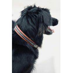 Collar para perro Pénélope Point Sellier Collar para perro Pénélope Point Sellier